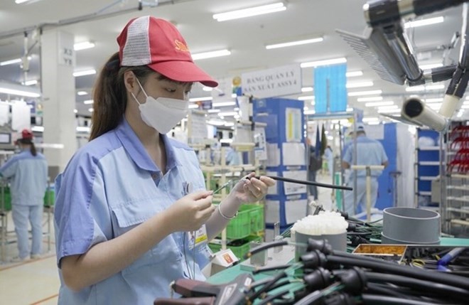 Regulations allowing civil servants to manage and invest in businesses