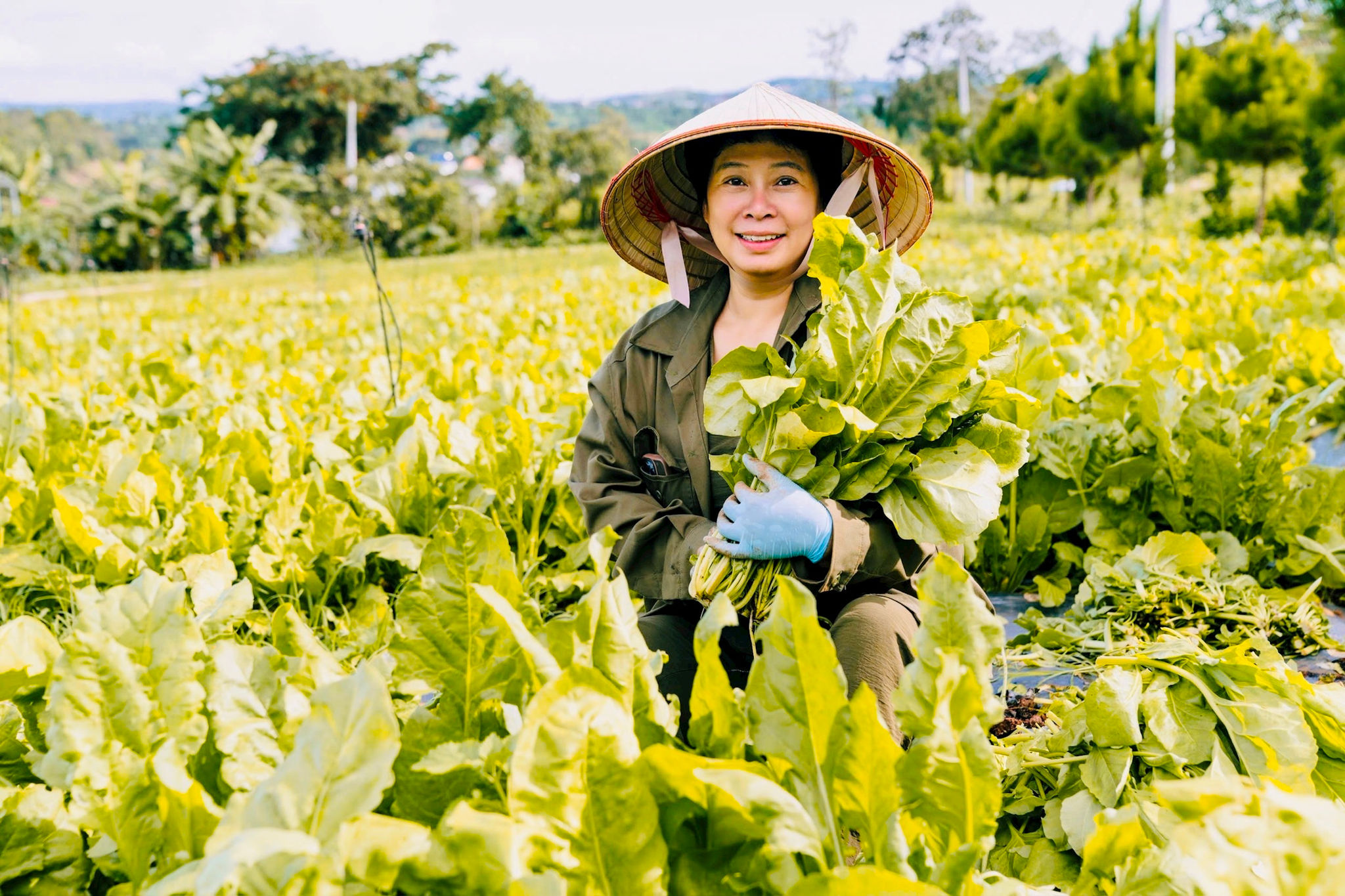 Nông nghiệp hữu cơ: Thúc đẩy tiêu dùng sạch, phát triển kinh tế xanh